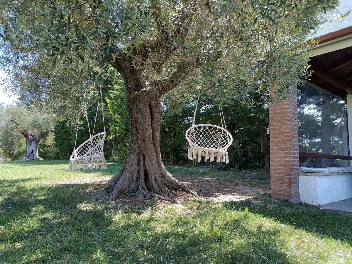 Apartmán Marios Garden House Afytos Exteriér fotografie